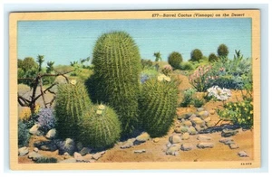 Vintage Lithographie Postkarte Fass Kaktus Wüste Western Verlag - Bild 1 von 2