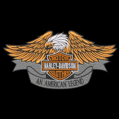 Harley Davidson Sweatshirt Embroidered YOUTH Kids Unisex Crewneck Biker Eagle - Image 1 of 4