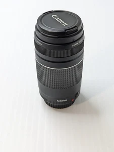 Lente zoom Cannon Ef 75-300 mm 1:4-5,6 III con tapas muy buen estado - Imagen 1 de 9