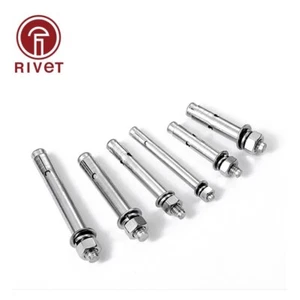 Best 20/50/100 PCS 304 A2-70 Expansion Screw Anchor Through Bolt M6 M8 M10 M16 - Picture 1 of 12