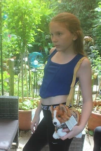 Corgi shaped hand or shoulder bag by Faithful Friends Collectables - Picture 1 of 9
