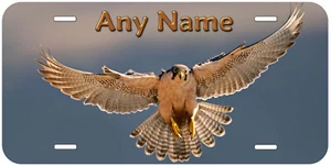 Placa de matrícula de coche novedad personalizada Falcon con cualquier nombre - Imagen 1 de 4
