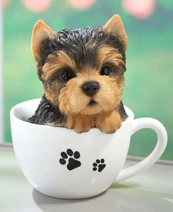 Teetasse Welpen - Yorkie - Bild 1 von 1