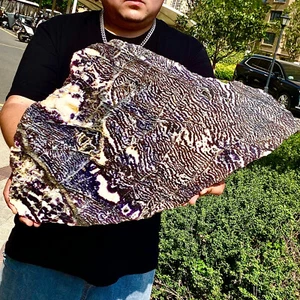 8.67LB Natural agate, zebra stone, crystal mineral, cut and polished in flakes - Picture 1 of 12