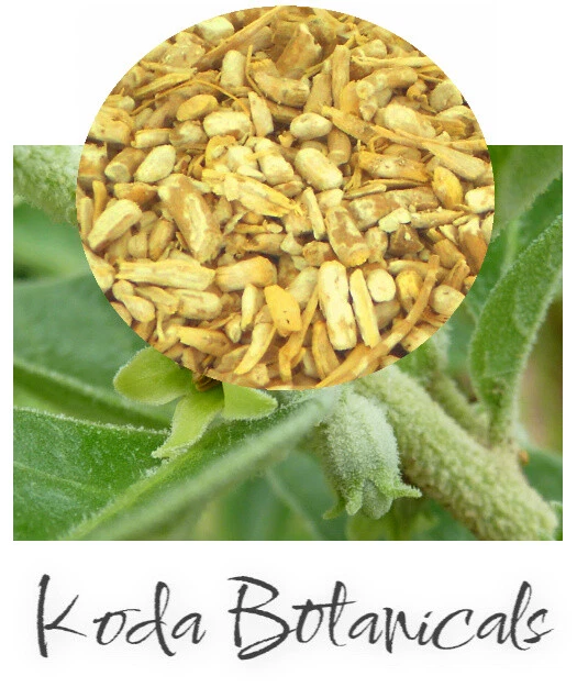 Té de hierbas orgánico Ashwagandha GRADO PREMIUM Withania somnifera raíz seca Foto 1 de 1