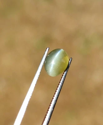 Natural Chrysoberyl Cat's Eye1.40ct Round Cabochon  Chatoyant Gem Sri Lanka - Image 1 of 4