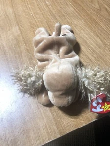 TY 1997 Beanie Baby Spunky the Cocker Spaniel Retired Rare MINT CONDITION - Picture 1 of 7