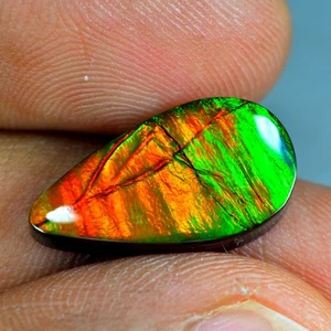 6.75Ct Dazzling Multi-color Flashing Natural Canadian Ammolite Gemstone - Picture 1 of 1