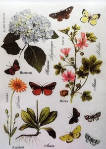 Papel de arroz para decoupage álbum de recortes flores artesanales mariposa hortensia 184 - Imagen 1 de 1