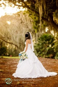 Maggie Sottero MonaLisa Royale Wedding Dress with Veil - Picture 1 of 7