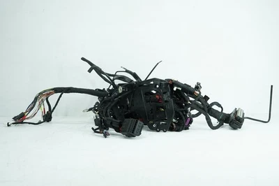 2024 Harley Softail FXST Standard OEM Main Wire Wiring Harness Loom ABS - Image 1 of 4