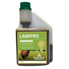 Global Herbs Laminitis Prone Lamipro Liquid - For Horses and Ponies - 500ml - BN