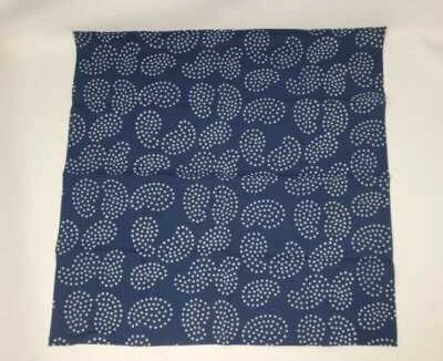NUEVO BANDANA J CREW AZUL TIEDYE ESTAMPADO PAISLEY Foto 1 de 4