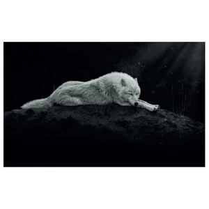 WG004 Night Wolf Printed Wall Sticker Vinyl Various Sizes - Picture 1 of 1