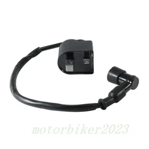 Bobina de encendido nueva para Suzuki DS80 1985-2000 JR80 01-06 SMX50 00-01 RMX50 96-00 - Imagen 1 de 10