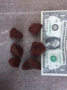  5 lbs of Red Lava Rock for Aquarium Bbq  Fireplace Gas Grill