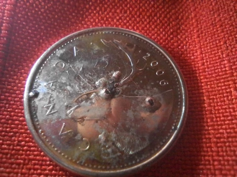 Canada 2006 Zombie Caribou EXTREMELY RARE 1 OF 1 ITEM ONLY KNOWN EXAMPLE Cover