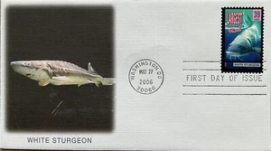 Fleetwood 4061 Wonders of America White sturgeon, largest freshwater fish - Picture 1 of 2