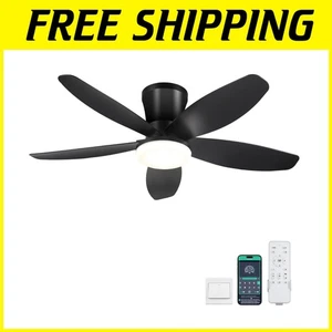 Reversible DC Motor for Quiet Operation - Picture 1 of 9