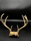 Deer Antler Rack Horn w/ Fractal Burning/ Home Decoration