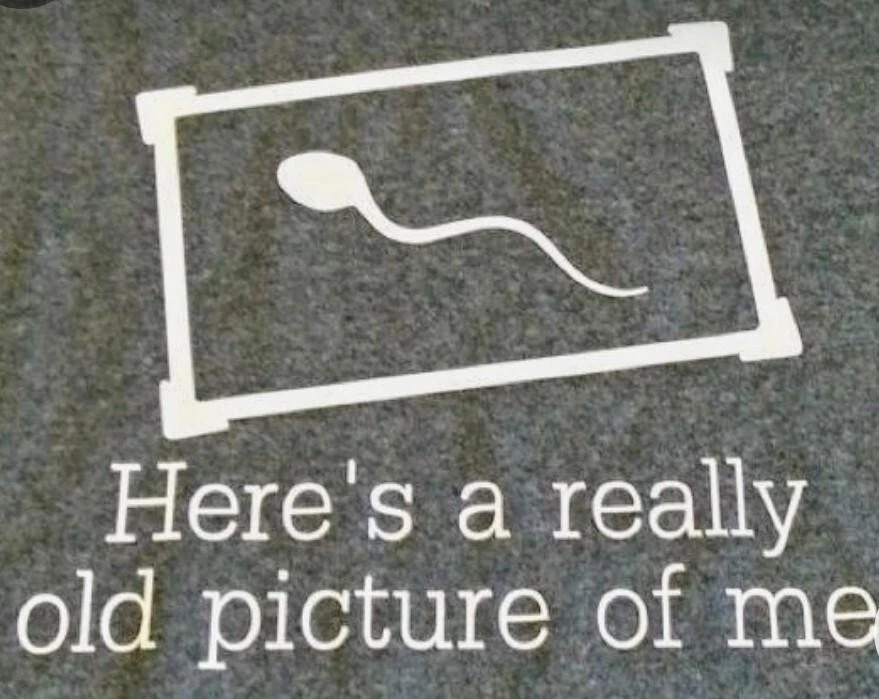 2 PACK RAT ROD HOT ROD CHOPPER MOTORCYCLE RAT FINK STICKER VINTAGE FUNNY SEXY - Image 1 of 1