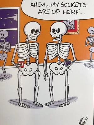 "My Sockets Are Up Here" FUNNY RPG HALLOWEEN CARD Ogling Skeleton - Image 1 of 2