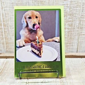 Hallmark Geburtstag Grußkarte grüner Hund Schokolade Kuchen lustig Humor - Bild 1 von 7