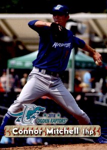 2018 Ogden Raptors Grandstand #18 Connor Mitchell Plainfield Illinois IL Card