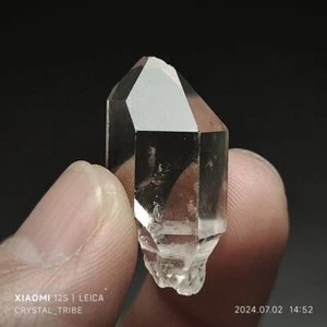 8g Natural Herkimer Diamond Quartz Crystal Single End  Healing Stone 4754 - Picture 1 of 15