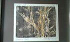 Dorothy Mandel - Gnarled Tree - woodblock print
