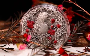 2025 Greater Thorn Bird Representative of GRIT 3oz .999 Silber 3000 F Gabun - Bild 1 von 10