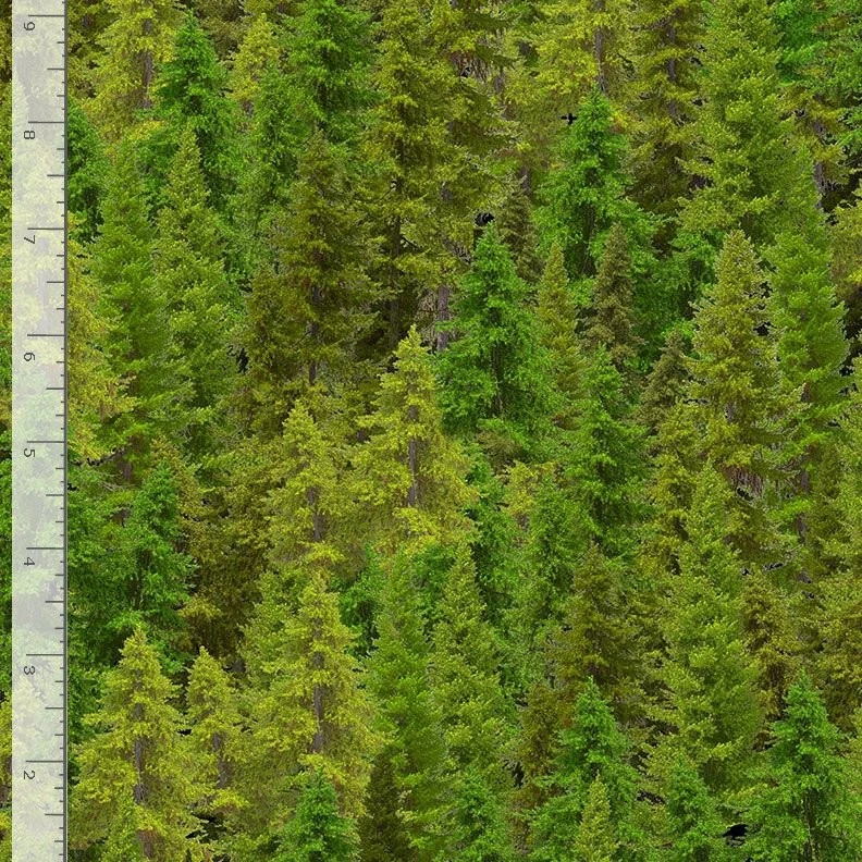 Green Pine Tree Forest Fabric By Yard Evergreen Cotton Timeless Treasures CD3831 - Image 1 of 1