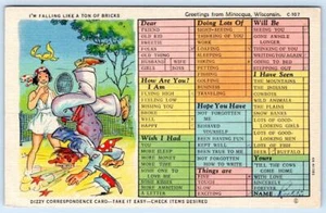 GREETINGS FROM MINOCQUA WISCONSIN FALLING LIKE A TON OF BRICKS LAZY PERSON LINEN - Picture 1 of 2