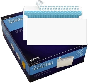 #10 Security Letter Envelopes - Self-Seal - Windowless - 2500 Count - (34010-E) - Picture 1 of 7