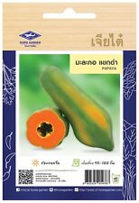 10 x Papaya Seeds Home Garden Asian Fresh Vegetable Best Thai Seed From Thailand