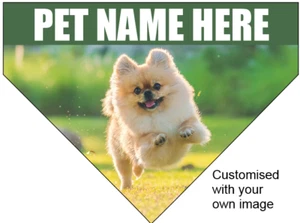 Dog/Pet Bandana - CUSTOMISED with your own pet image - Picture 1 of 10