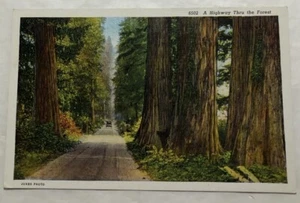 A Highway Thur The Forest. Postcard (U2) - Picture 1 of 2