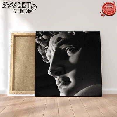 DAVID MICHELANGELO FIRENZE Stampa su Tela ALTA' QUALITA' QUADRO MODERNO ARTE