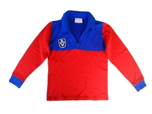 1970's Fitzroy Lions VFL AFL Rare Vintage Kids Boys Guernsey Jumper - Size 12-14 - Picture 1 of 11