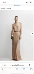 COAST Champagne Sequin Bridesmaid Dress NWT Size 16 - Picture 1 of 7