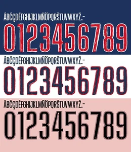 Name&Number Set For Paris Saint-Germain Season 2024/2025 UCL Home/Away Football - Picture 1 of 1