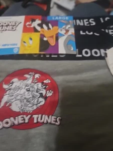 LOONEY TUNES Cotton Hipster PANTIES 3pr Set, Size LARGE - Picture 1 of 5
