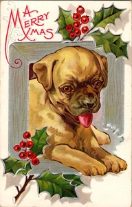 Cartolina Merry XMas cane ansimante cucciolo agrifoglio schiena divisa non spedita - Foto 1 di 2