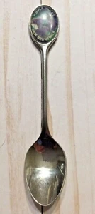 Cuchara de recuerdo púrpura violeta New Brunswick para coleccionistas - Imagen 1 de 3