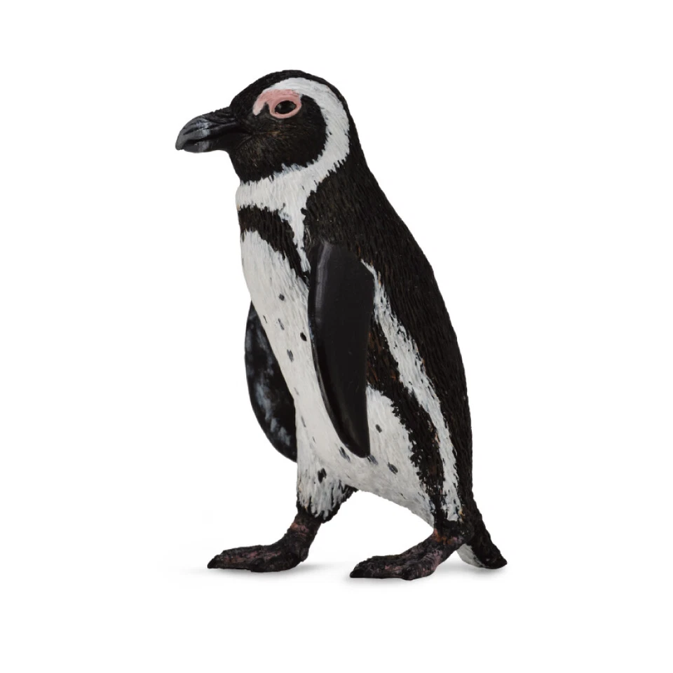 CollectA South African Penguin