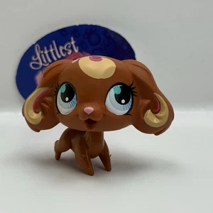 SPANIEL DOG #3116 - Littlest Pet Shop - Hasbro LPS - Imagen 1 de 4