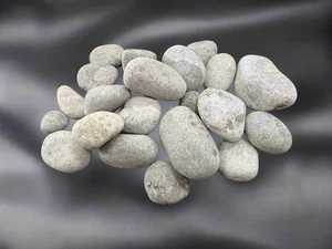 Petoskey Stone 3.2lb Bulk Bag - Lapidary Rough - Michigan State Stone - Picture 1 of 2