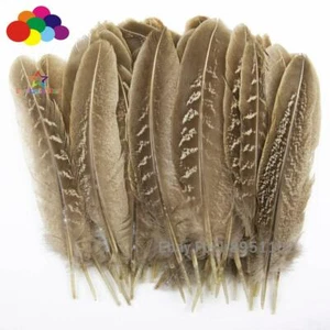 10-100 PIEZAS 10-15 cm / 4-6 pulgadas color natural cuello anillo ala faisán pluma plumas - Imagen 1 de 5