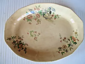 Beautiful Antique Floral Pattern 13.5" Oval Serving Platter - Picture 1 of 5