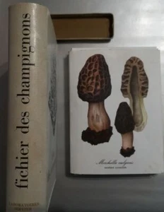 Coffret de fiches champignon | Collectif | Bon état - Bild 1 von 3